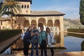 Tour privato dell'Alhambra con guida e biglietto saltafila