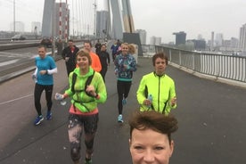 Recorrido a pie con lo más destacado de Rotterdam.