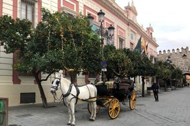 Seville Guided Horse Carriage Private Tour