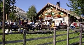 Bavarian Salzburg Alpine Meadows Trail