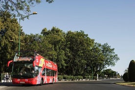 Recorrido en autobús turístico con paradas libres por la ciudad de Postdam