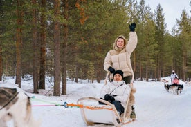 Saariselkä: Husky Safari with kennel visit