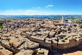 Excursão terrestre no porto de Livorno: Almoço e degustação de vinhos em Siena San Gimignano