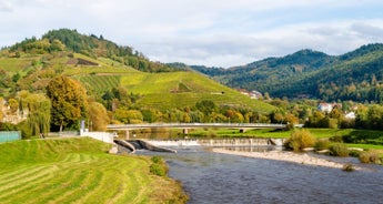 Romantic Rhine with 2 Nights in Lucerne for Wine Lovers (Northbound) 2026