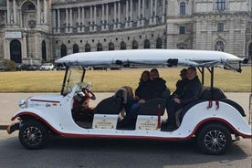 Vienna: Sightseeing Tour in an 8 seats electric classic car