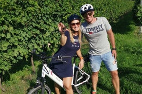 4-Hour Guided E-bike Tour of the Two Wineries in Bardolino