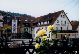 Gasthof-Pension Alte Post