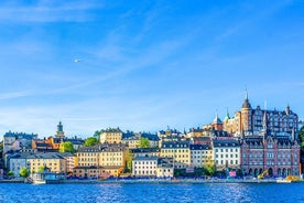 Architektonisches Stockholm: Private Tour mit einem lokalen Experten