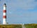 Tarbat Ness Lighthouse