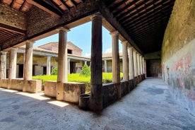 Pompeii, Herculaneum og Vesuvius - Einkaferð