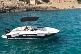 Bluemarine.me ライセンス無料 Bayliner Element E5 レンタル