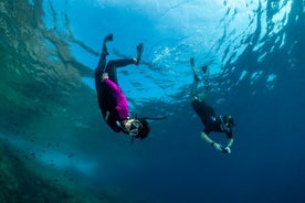 Plongée guidée en apnée dans la zone marine protégée de Portofino