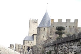 Omvisning i byen Carcassonne (til fots)