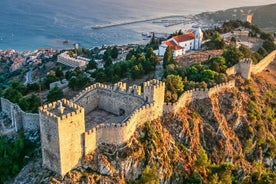 Excursion de Lisbonne à Setúbal : nature, plage et dégustation de vins