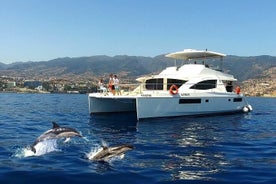 Lúxus höfrunga- og hvalaskoðun í Funchal, Portúgal