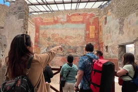 Naples: Pompeii & Mt. Vesuvius Day Trip with Tickets & Lunch