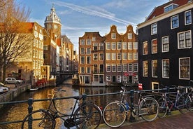 From Brussels: Day Trip to Amsterdam with Canal Boat Cruise