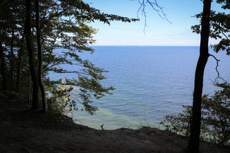 View of the Baltic Sea from the forest on the cliffs near Gdynia in Nature reserve "Kępa Redłowska". View of the beach and pier. We look through the trees.
