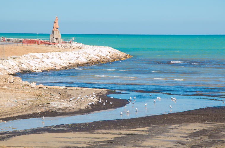 Seagulls on Albula creek, San Benedetto del Tronto,Italy.