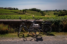 Saint Emilion Half Day Ebike and Wine Tour with Picnic.