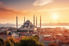 Blue Mosque, Hagia Sophia and Istanbul Old City Private Tour