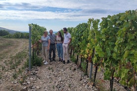  Vinsmagningstur i Tokaj Vinregion Slovakiet