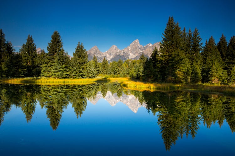 Photo of Reflection of a pond near Schwabachers ,Germany