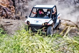 Buggy Tour í 2 klukkustundir síðdegis með flutningum eingöngu á suðursvæði