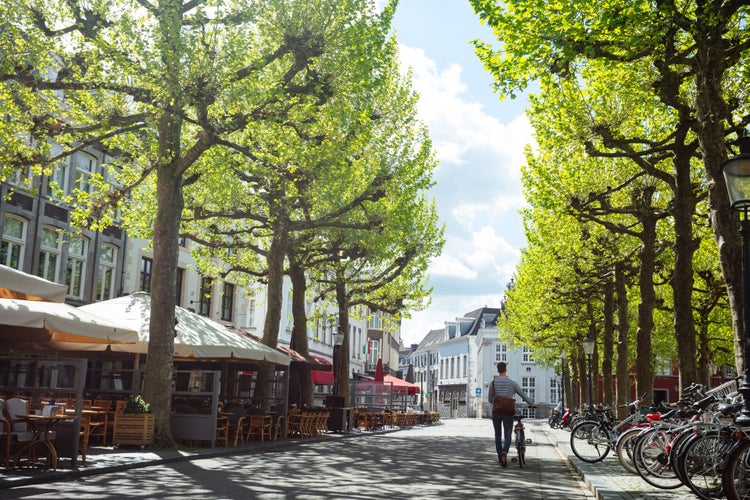 A calm street under the dappled shade of verdant trees with bicycles lined up, and a solitary figure taking a leisurely walk, Maastricht, Holland