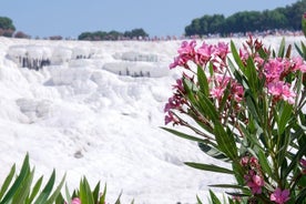 Excursão de um dia a Pamukkale saindo de Selcuk