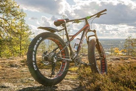 Kulturell E-fatbike-tur runt Rovaniemi & Santa Claus Village