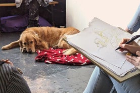 Dog Life Drawing in Bristol