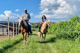 Horseback Riding with Wine and Food Tasting in Lazise Countryside