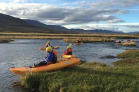 Leiðsögn á opnum kajakferð