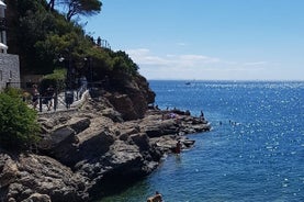 Excursão Guiada Ilha de Elba - Dia Inteiro