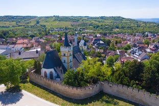 Ingelheim am Rhein