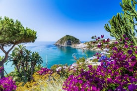 Nachmittagsrundfahrt auf der Insel Ischia mit dem Bus