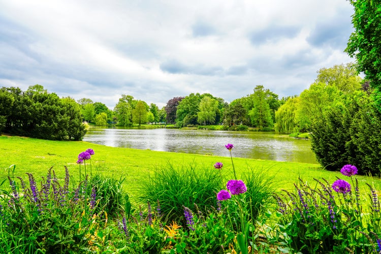 Photo of the Maschteich with the surrounding nature at the Stadtpark in Hanover.