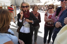 Visite guidée à pied en petit groupe de Salzbourg avec guide de l'historien