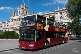 Vienna Hop-On Hop-Off Bus Tour with Guided Tour, River Cruise, or Ferris Wheel Ride