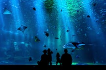 Aquarium tickets in Spain