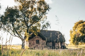 loch Ness, Clava Cairns, Culloden,Coo,s and Drams from INVERNESS 