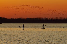 Paddleboarden in Dublin