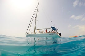 4 ore - Tour privato esteso in barca a vela intorno all'isola di Lobos