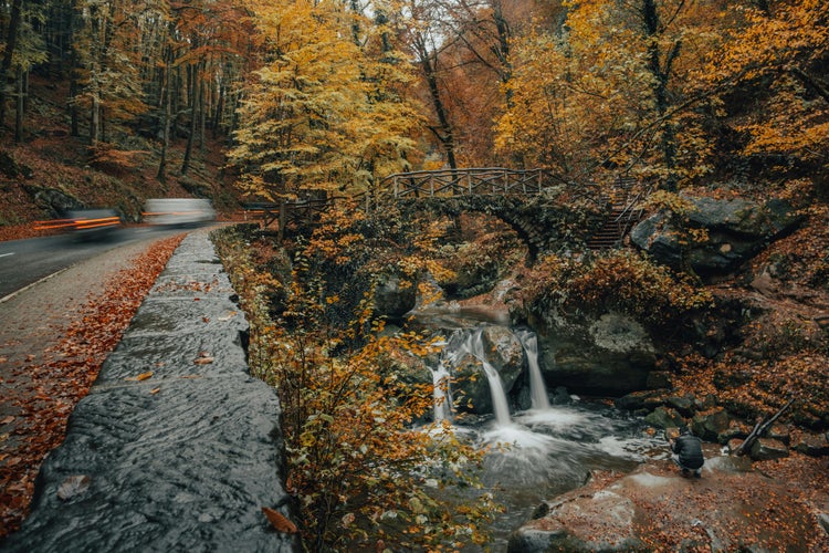 The Famous Mullerthal Trail in Luxembourg.jpg