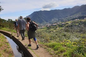 Levada da Referta - Castelejo