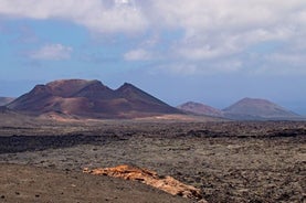 阿雷西费海岸游览：兰萨罗特岛的小团体Moonscape Trek