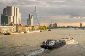 Tour en español a Rotterdam y La Haya