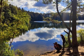 Halvdagstur i vacker estnisk natur