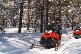 Rovaniemi: Snowmobile Safari into the Arctic Circle Forest